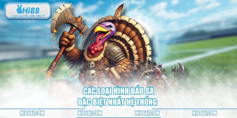 Các loại hình đấu gà đặc biệt nhất hệ thống