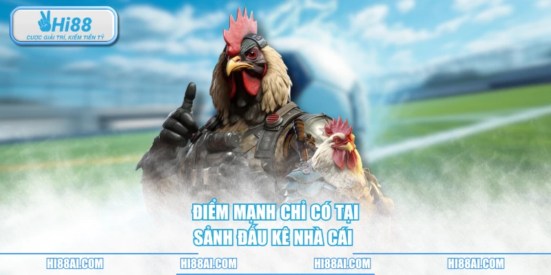 Điểm mạnh chỉ có tại sảnh đấu kê nhà cái